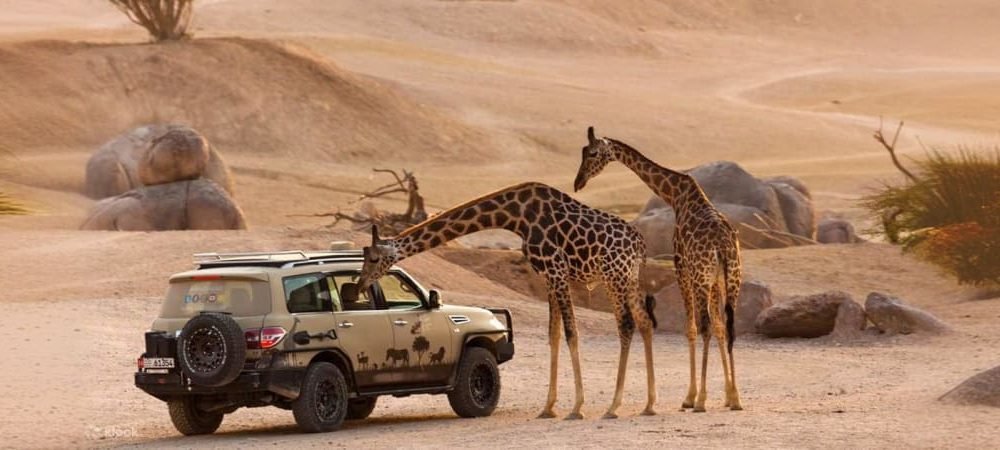 Al Ain Zoo