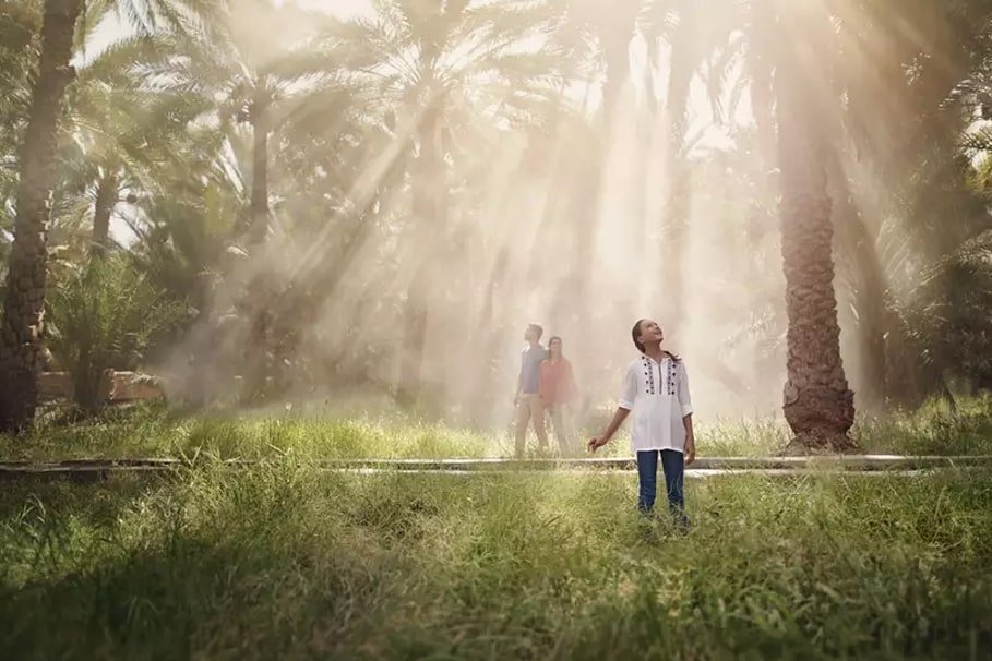 Al Ain Oasis